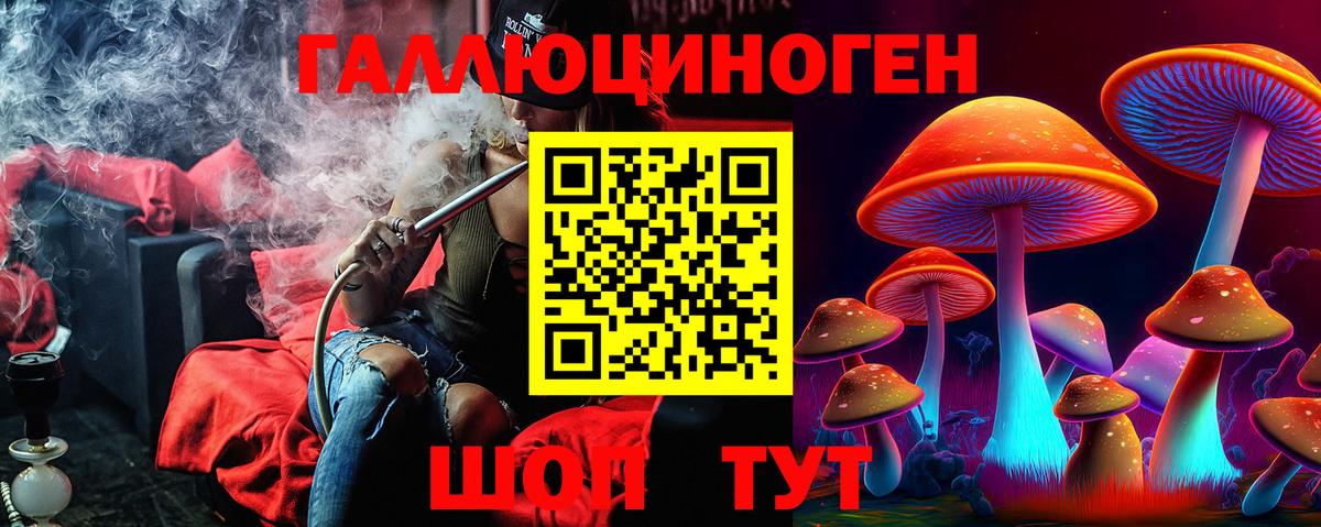 Галлюциногенные грибы Cubensis Жуковский